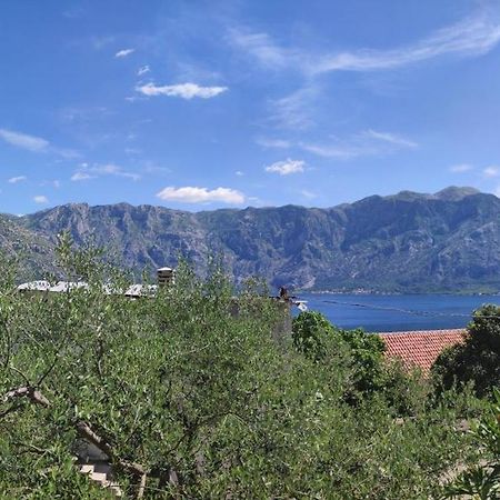 Holiday House In The Kotor Bay Exterior photo