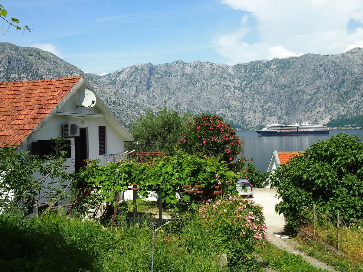 Holiday House In The Kotor Bay Apartment Exterior photo